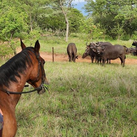 Wild Ride Safaris And Bush Camp Villa Hoedspruit Exterior foto