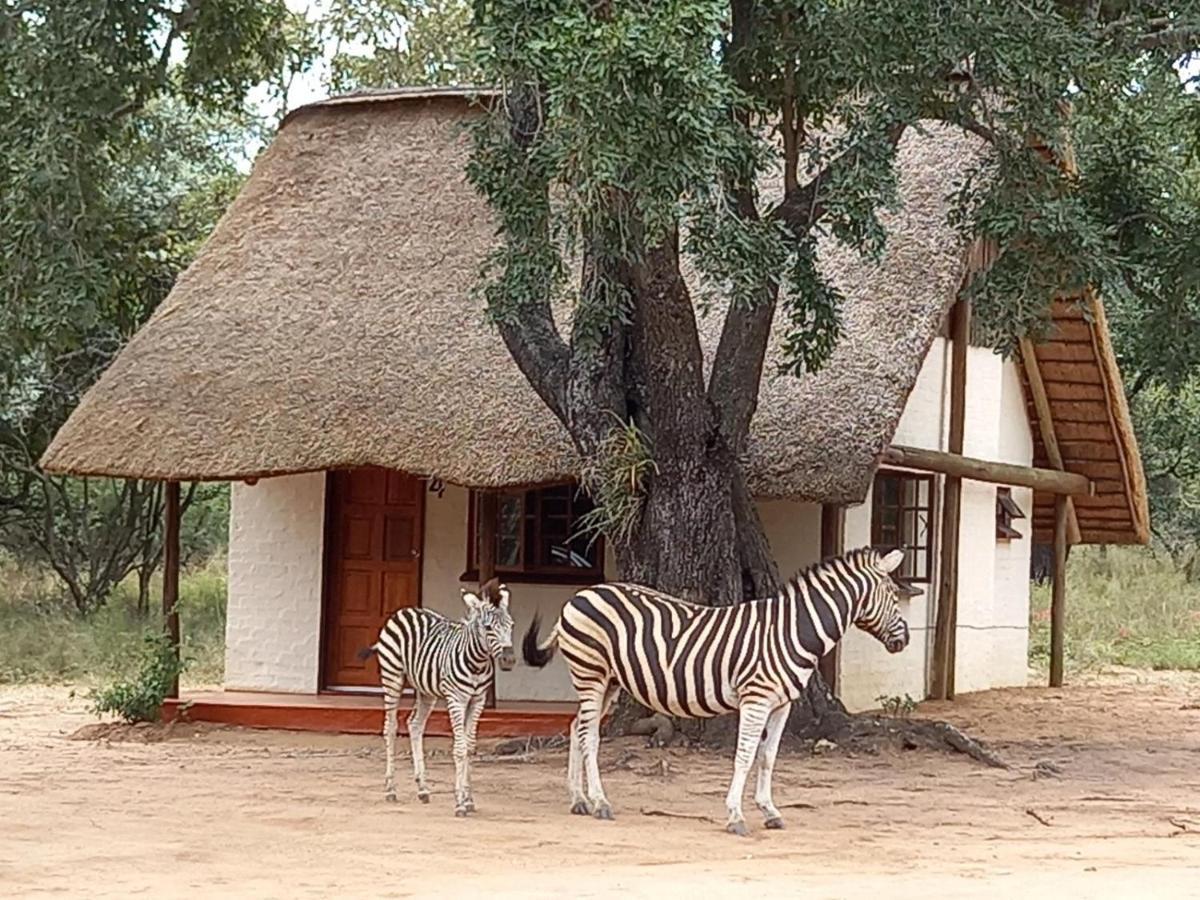 Wild Ride Safaris And Bush Camp Villa Hoedspruit Exterior foto