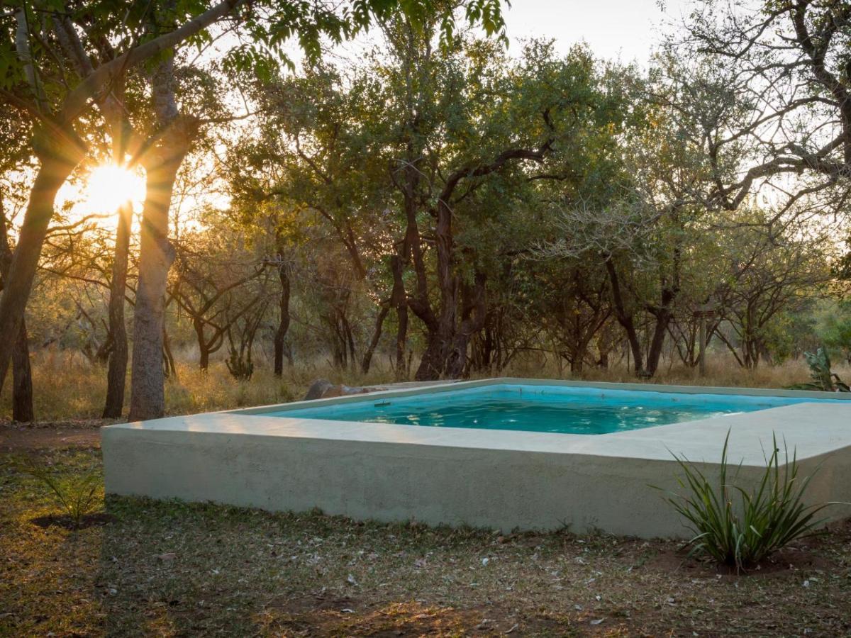 Wild Ride Safaris And Bush Camp Villa Hoedspruit Exterior foto