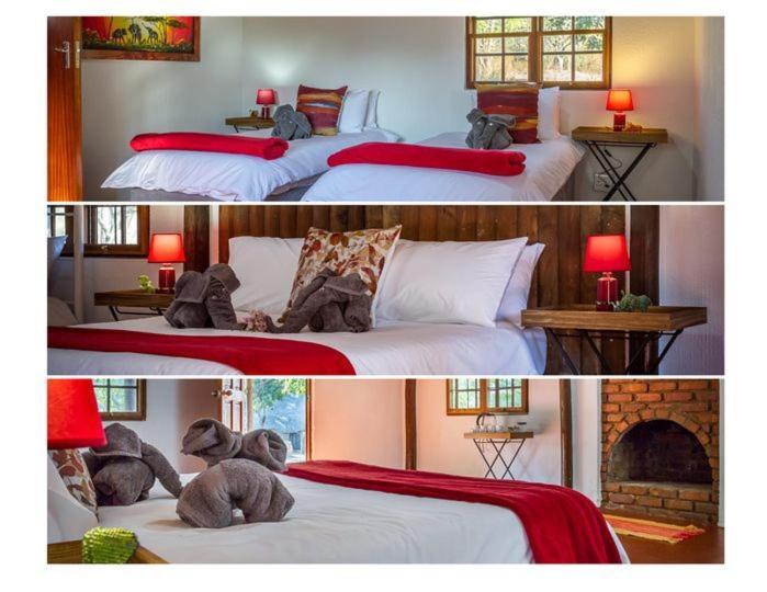 Wild Ride Safaris And Bush Camp Villa Hoedspruit Exterior foto