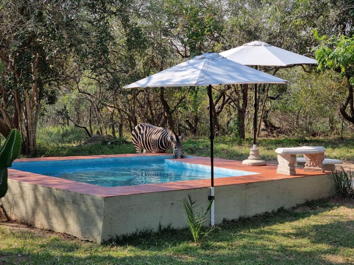 Wild Ride Safaris And Bush Camp Villa Hoedspruit Exterior foto