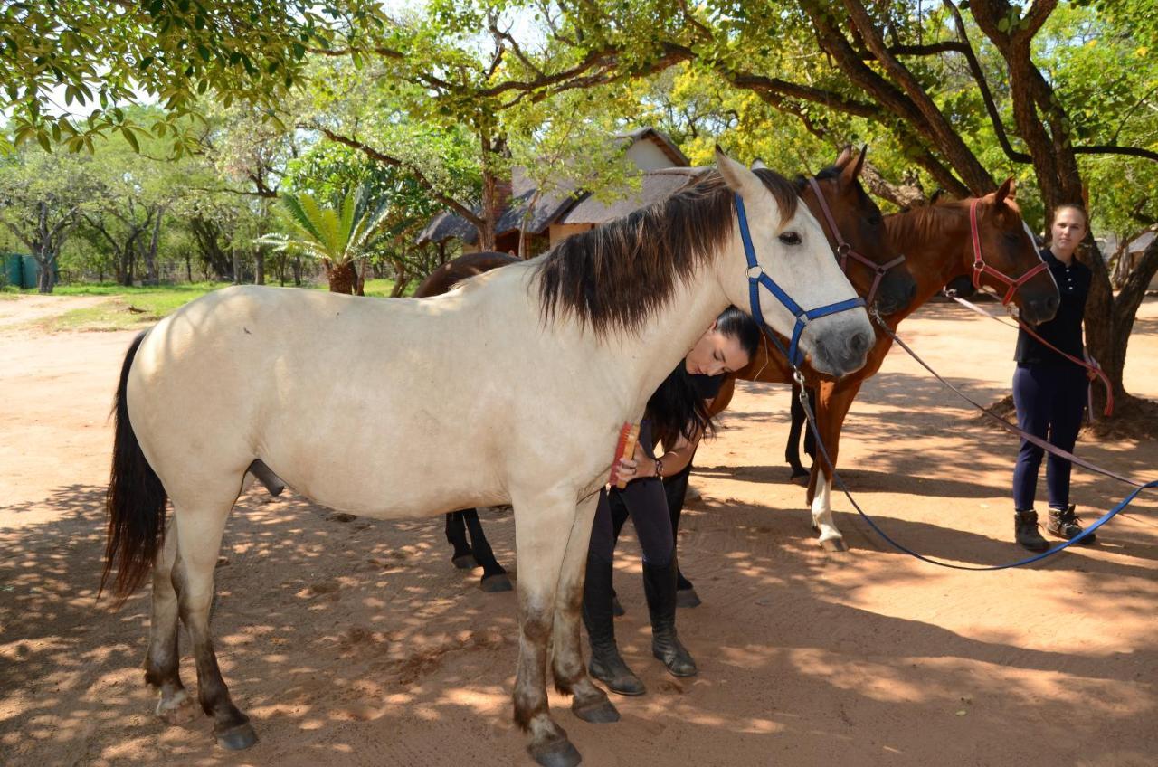 Wild Ride Safaris And Bush Camp Villa Hoedspruit Exterior foto