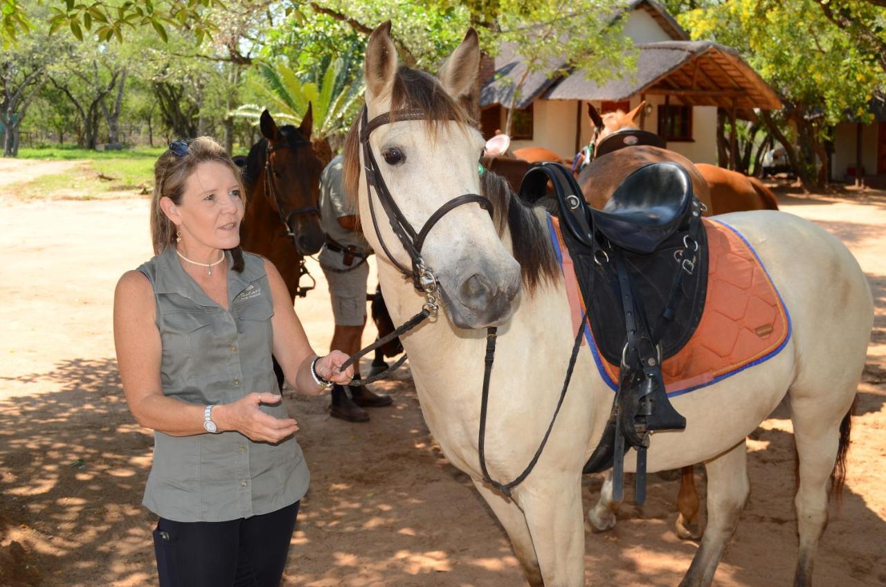 Wild Ride Safaris And Bush Camp Villa Hoedspruit Exterior foto