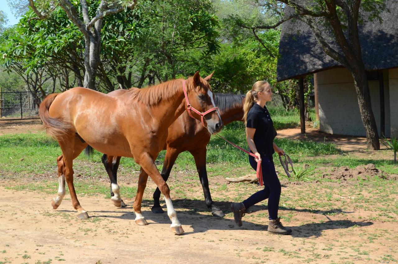 Wild Ride Safaris And Bush Camp Villa Hoedspruit Exterior foto